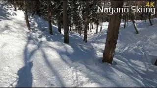 【4K】TANGRAM SKI CIRCUS　/ Shinanomachi,Nagano,Japan