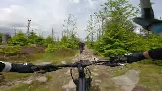 Guided MTB-Tour Harz 2025