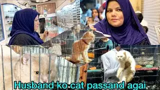 First Time Saddar Cat Market In Karachi visit | husband ko cat passand agai | vlog with tamken