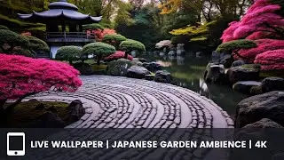 Live Wallpaper Japanese Garden Ambience | 4k