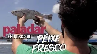 A jornada do 
