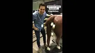 Saskatchewanderer Visits the Agribition