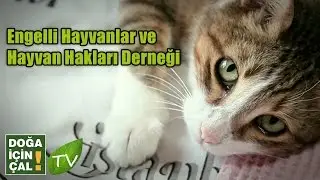 DOĞA İ&Ccedil;İN &Ccedil;AL - Engelli Hayvanlar ve Hayvan Hakları Derneği