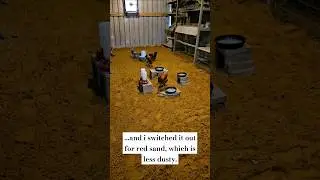Horse pellets replaced with red sand in the coop 😍🐔🥚 #tinydreamerhomestead #tinydreamerchickens