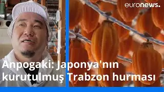 Spotlight Japan: Fukuşimalı tarım üreticilerinin radyoaktivite sınavı