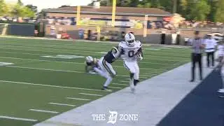 Dexter 2025 RB Ronny Johnson full game highlights vs. Saline