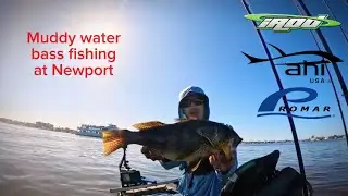 The Murky Water Had These Spotties Fired Up — Newport Bay 