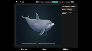 Marine Mysteries Continue | Beyond Blue Ep. 2