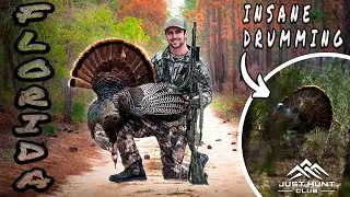 Public Land Turkey Hunting in Florida (Insane Drumming)