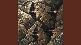Demolition Space Force