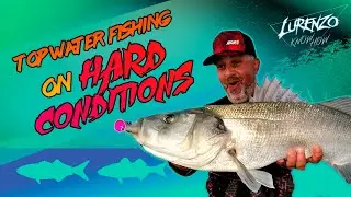 Fishing with topwater lures under hard conditions