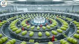 Inside a Modern Amla Factory &ndash; From Raw Amla Fruits to Finished Products (Full Process)