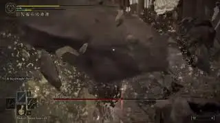 Exploring Elden Ring