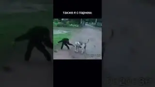 Не успокоительных )