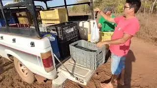 O VENDEDOR DE FRUTAS PORTA EM PORTA VENDENDO PRA VÓ DELOUSA