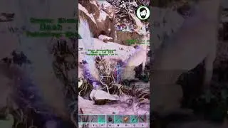 Пора превратиться в Солвина #arksurvivalascended #arksupreme #arksurvivalevolved #gaming #letsplay