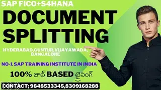 #DOCUMENT SPLITTING COMPLETE CONCEPT,What is Sample Document in SAP FICO,Document Splitting concept