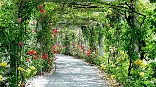 Erdi Irmak - Passage (Original Mix) (Tale & Tone)