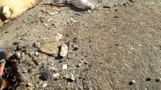GWB infrastructure neglect