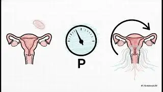 The Reproductive System class 10th Biology ICSE Board