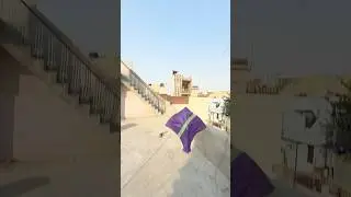 KITE LOOTING new video 🤩 #shorts #viralvideo #trending #kitelooting