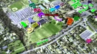 The Rapid Response Institute- 2010
