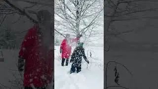 Enjoy the moment ❄️.                      #firststrike #finland #heinola #shorts #viral