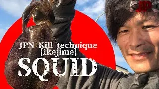 Squid Lure Fishing【Squid jig&rdquo;EGI