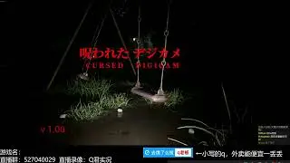 被诅咒的数码相机 Cursed Digicam | 呪われたデジカメ
