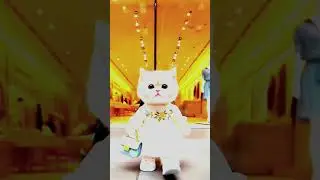 Cartoon cats #video #barrel @cartoon_cats07CatAnimation#GoldenPlane#RichVsPoor#MudTank#KittenHero