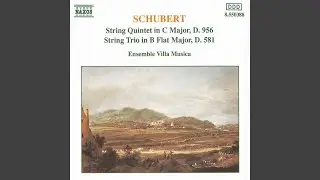 String Quintet in C Major, Op. 163, D. 956: II. Adagio