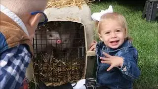 FALL FUN FEST
