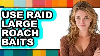 How to Use Raid Large Roach Baits - Full Guide