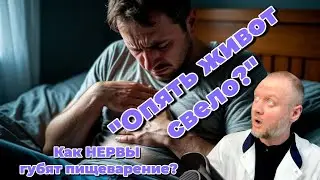 СРК причина не в кишечнике. Как лечить через работу с мозгом.