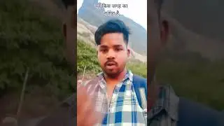 Jo meri ruh ko chain de krrar De #hindi #song #viralvideo