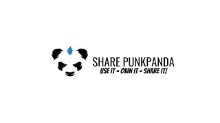 PUNK PANDA OVERVIEW A MUST WATCH!