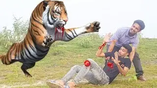 Royal Bengal Tiger Attack Action Fun Made Movie | Tiger Attack man in forest | part-10 #tiger