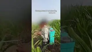 consequences of not attending school  #explore #trending #viral #funny