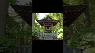 Japan Walk, Holly Bell in Woods, Kakeyu #shorts【Japan】