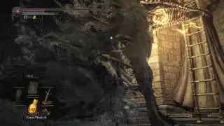 DARK SOULS&trade; 3 - Ring of favor & defeating 2 Outrider Beasts