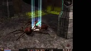 Metin2 leichti goes lvl 75