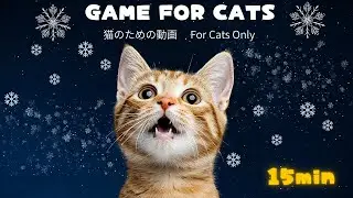 Vol.10 For Cats Only ❄️ Snowflake Chase(15min Cat Game Video)猫専用｜舞い落ちる雪を追いかける15分