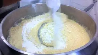 Provelac  Elaboracion de queso analogo tipo asadero VA