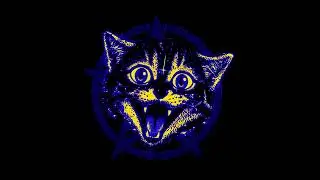 WVRB - LIGHT [speed up] | angelcore | phonk house