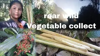 village mountain farm and rear wild vegetable collect || beautiful morning ice view and sun #couple