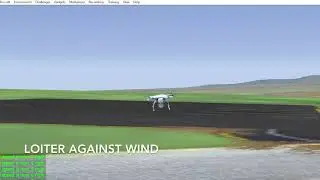 ArduPilot Loiter flight mode of quadcopter against wind in RealFlight8 SITL