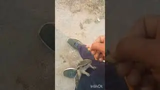 gillu @friend #friendship#trending#viral#video