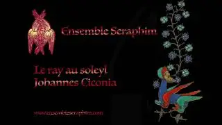 Le ray au soleyl - Johannes Ciconia