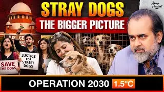 Stray Dogs Issue: Who Are We Punishing? || Acharya Prashant (2025)