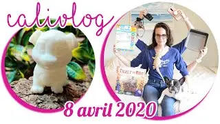 [NYCYLA CALIVLOG] PAUSE DANS LES CALIVLOGS 🛑